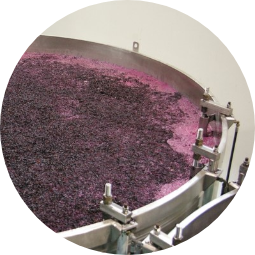 Fermentarea mustului