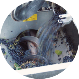 Zdrobirea și desciorchinarea